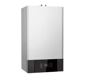 Caldera BGH Vesta 32 doble servicio tiro forzado