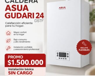 Caldera Asua Gudari 24 ds tf + instalacion basica